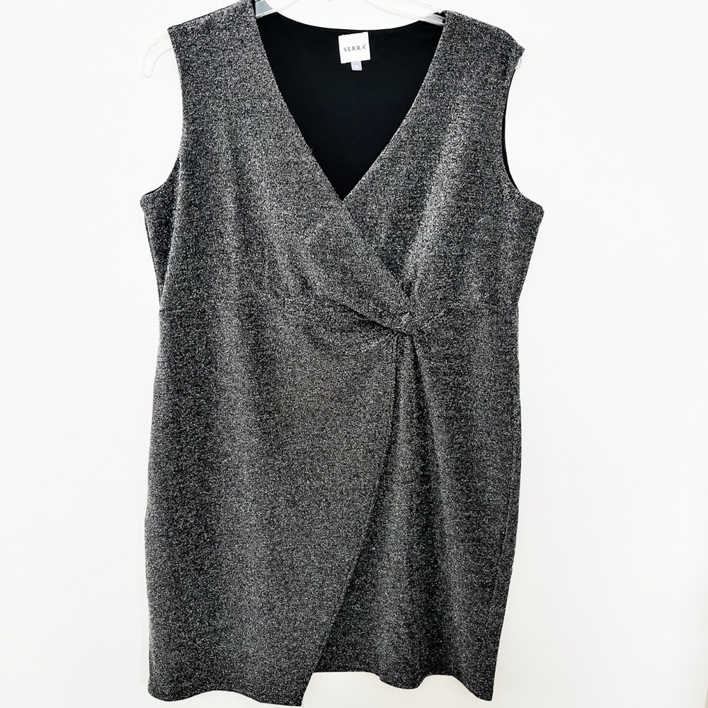 Metallic Silver on Black wrap Dress XL (That ALDI dress!)